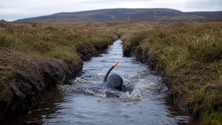 Bog Snorkelling: Swimming Through a Welsh Peat Trench