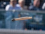 Spring Training Dangers: When a Bat Flies Into the Crowd