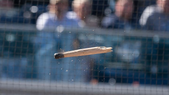 Spring Training Dangers: When a Bat Flies Into the Crowd