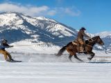 Skijoring: The Winter Sport of Horse Racing on Skis