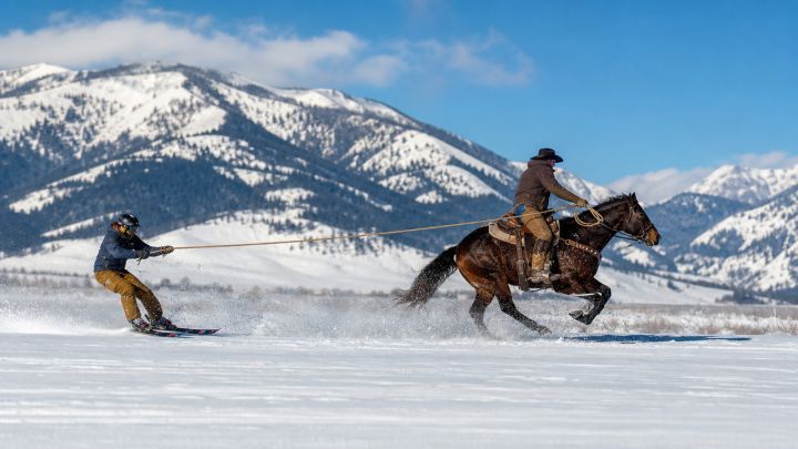Skijoring: The Winter Sport of Horse Racing on Skis